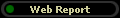 Web Report