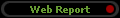 Web Report